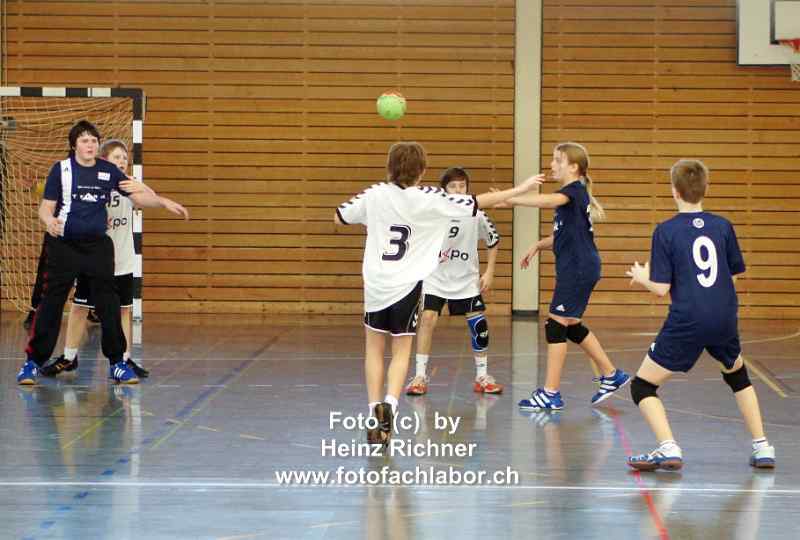 230868 handball_4.jpg